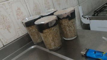 IMG-20160223-WA0000.jpeg.jpg