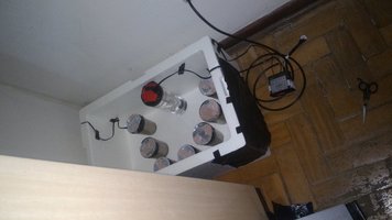 IMG-20160223-WA0006.jpeg.jpg