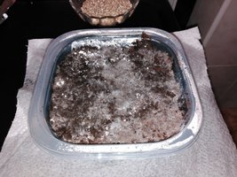 IMG_20160223_113330.jpg