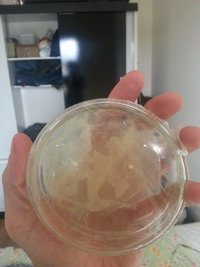 12782225_10205889089571130_1292123088_n.jpg