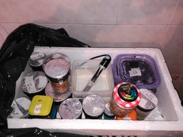 IMG_20160223_182531.jpg