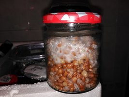 IMG_20160223_182810.jpg