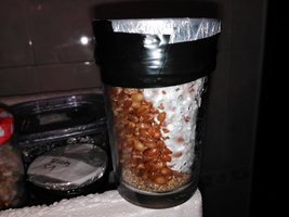 IMG_20160223_182908.jpg