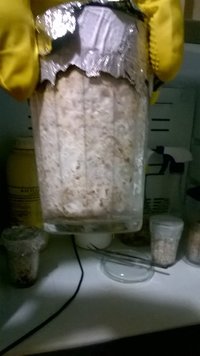 WP_20160223_20_40_01_Pro.jpg