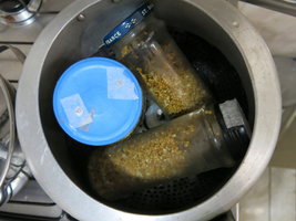 IMG_7160.JPG