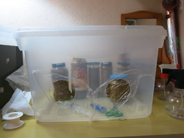 IMG_7174.JPG