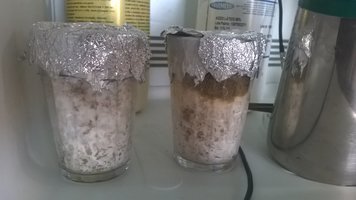 WP_20160225_09_35_00_Pro.jpg