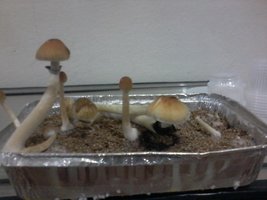 20160224_025528.jpg