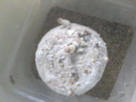 20160227_113617.jpg