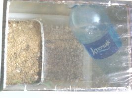 20160227_113704.jpg
