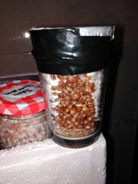 IMG_20160228_003203.jpg