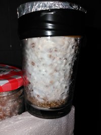 IMG_20160228_003220.jpg