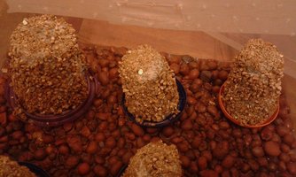 20160228_035216.jpg