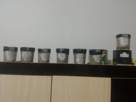 P_20160228_224215.jpg