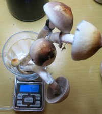IMG_7257.JPG