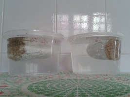 20160229_124011.jpg