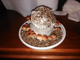 IMG_20160301_004236.jpg