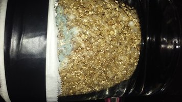 20160301_130015.jpg