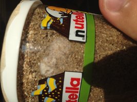 IMG_2406.JPG