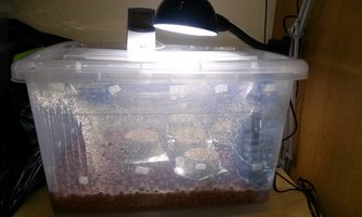 20160302_145314.jpg
