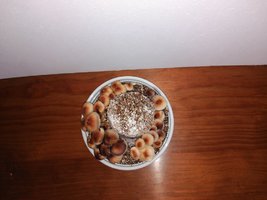 IMG_20160302_121700.jpg