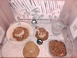 IMG_20160303_012341.jpg