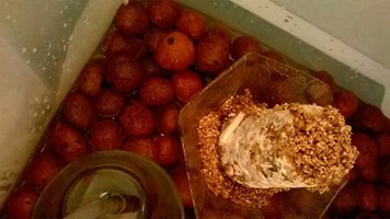 WP_20160302_22_52_23_Pro.jpg