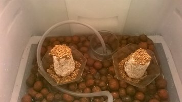 WP_20160302_22_52_45_Pro.jpg