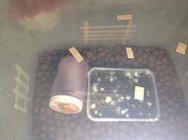 IMG_2498.JPG