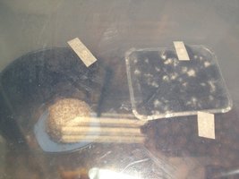 IMG_2504.JPG