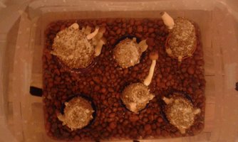 20160303_234254.jpg