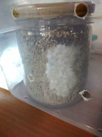 20160303195449.jpg