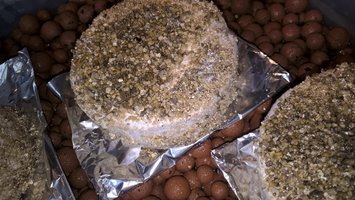 WP_20160307_00_17_16_Pro.jpg