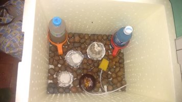 Terrario 27-02.jpg