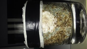 20160308_201704.jpg