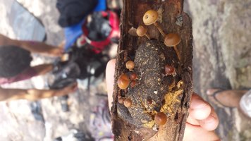 20160221_101832.jpg