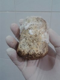 contaminações jogadas fora 2 - bolo do GT3.jpg