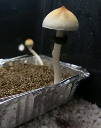 IMG_7326.JPG