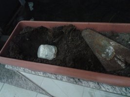 contaminações enterradas 1.3 - vaso.jpg