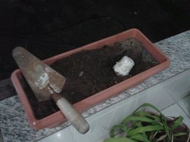 contaminações enterradas 2.2 - vaso.jpg