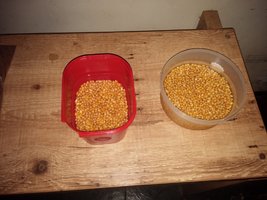 20160116_084221.jpg