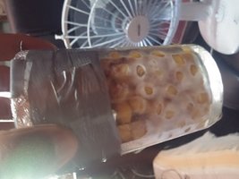 20160202_092705.jpg