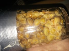 20160210_222903.jpg