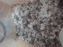 20160222_060658.jpg