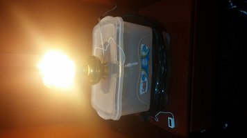 20160224_090114.jpg