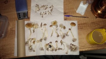 20160305_075906.jpg