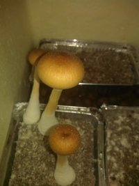 IMG_20160311_005040.jpg