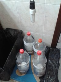 terrários.jpg