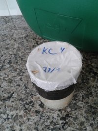 cont 1.jpg