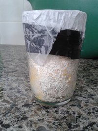 cont 2.jpg